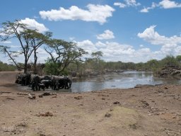 Western_Corridor2009-20